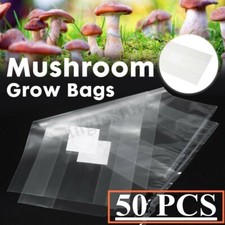 Mushroom Bags Grow Grain Substrate Mycelium S...