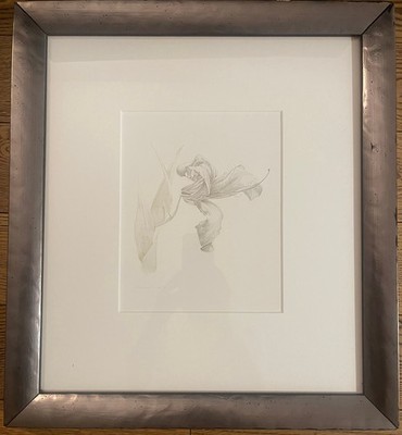 Drawing by Marjorie Williams Smith, STUDY of LILY, silverpoint and copperpoint