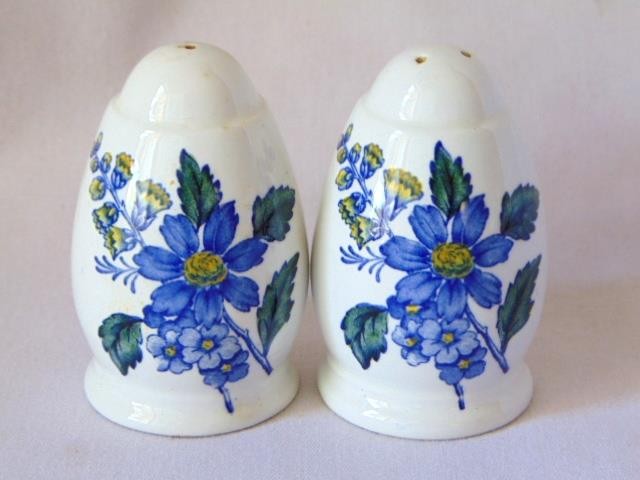 Vintage SPODE BLUE FLOWERS Floral Porcelain Salt & Pepper Set, England