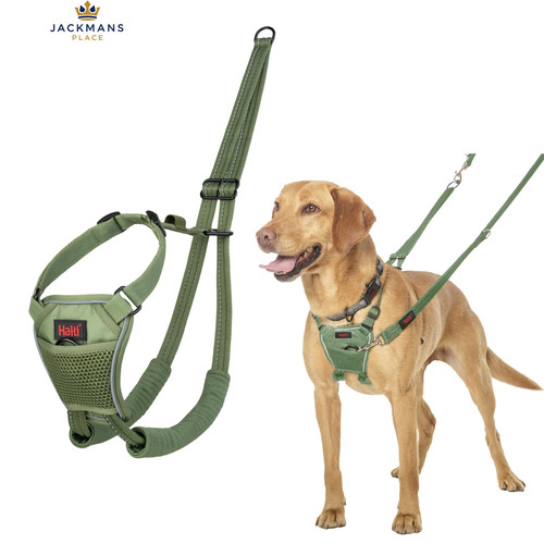 Halti No Pull Harness - Stop Your Dog Pulling on the Leash. M, Forest Green