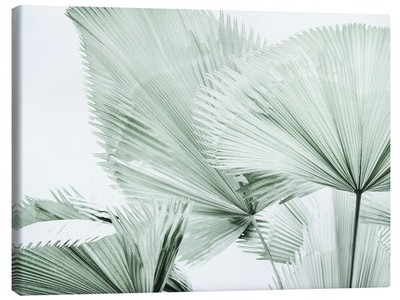 Leinwandbild Blatt III - Magda Izzard