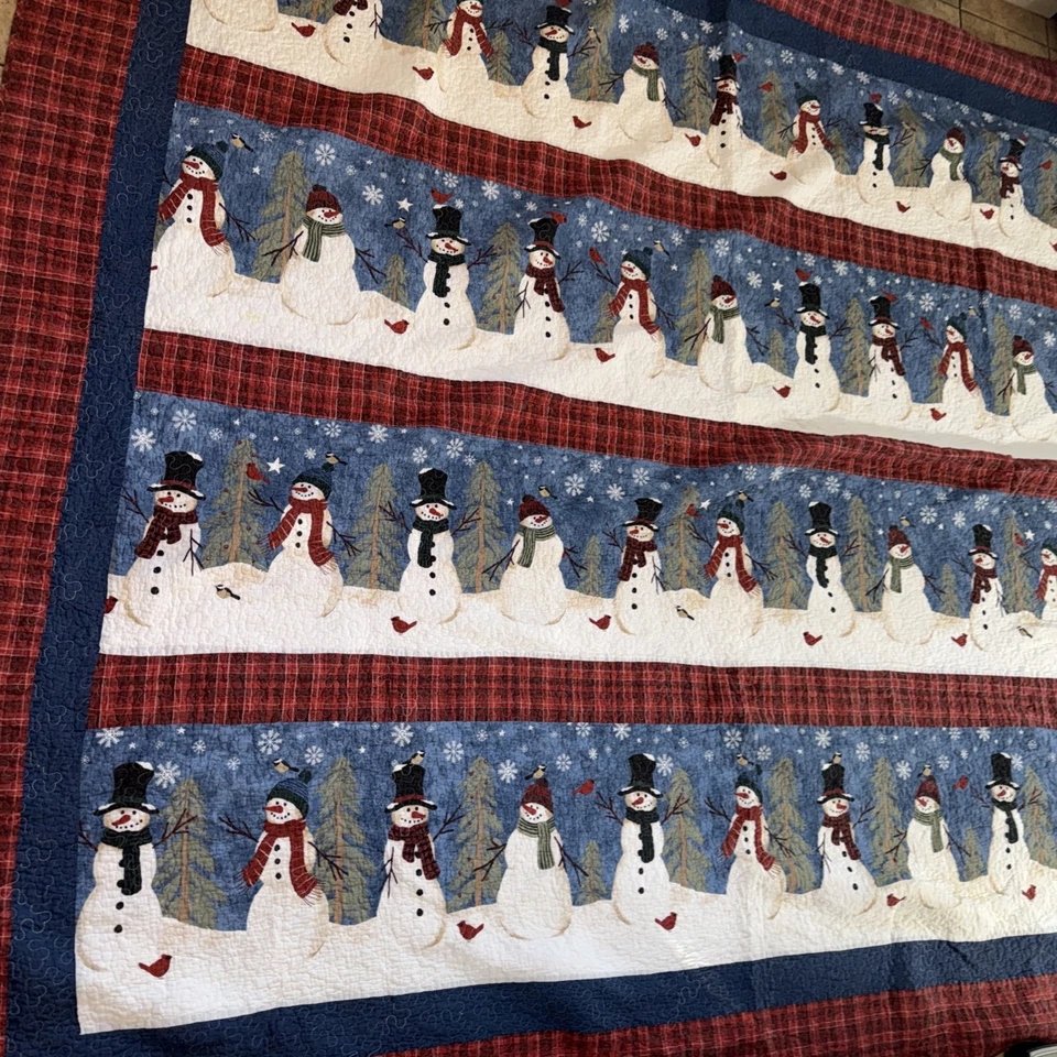 2 Piezas - Muñeco de Nieve Azul San Nicolás Cuadros Reversible COLCHA +1 FARSA -King Usado en Excelente Condición Foto 3 de 4