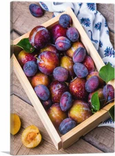 ARTCANVAS Plums Home Decor Canvas Art Print
