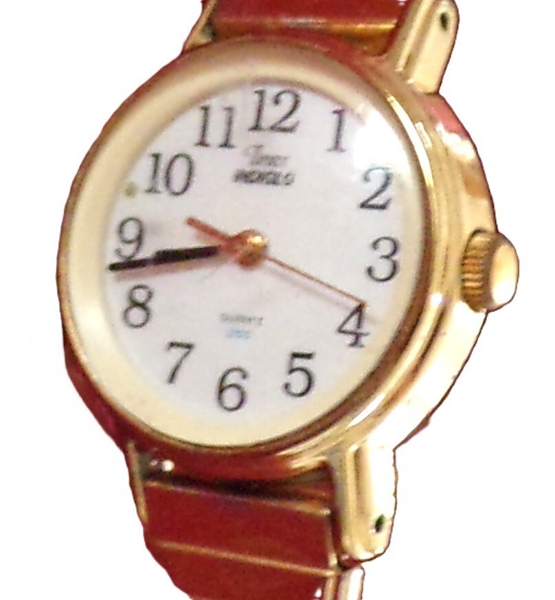 Timex Indiglo Light-Up Quartz Watch with Water Resistance and Battery Operation-image