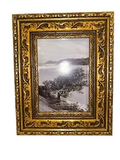 Vintage Fetco Gold Ornate Picture Art Frame Fits 5x7