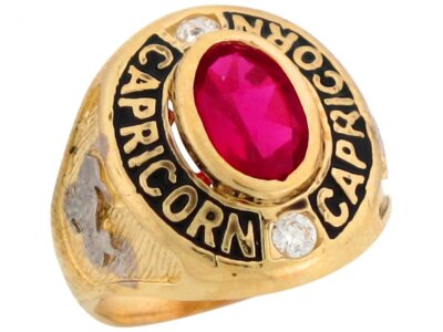 10k or 14k Gold Simulated Garnet CZ Enamel Capricorn Birthstone