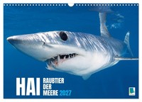 "Calendar 2027 · US Version · Shark: Predator Of The Seas (Wall Calendar 2027 17\""