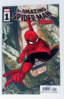 The Amazing Spider-Man Torn #1 Cover A (VF/NM 9.0) Marvel Comics 2025 1st Print
