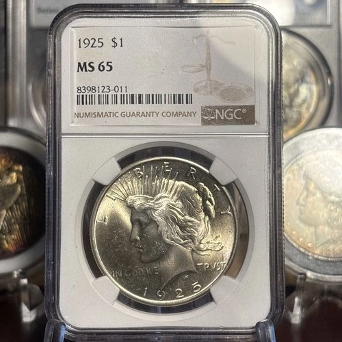 1925-P Peace Silver Dollar NGC MS65 Gold Toning
