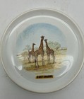 3 West Germany African Wildlife Plates Oudtshoorn Small Giraffe Buffalo Elephant — photo 7