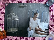 Taylor Swift Speak Now Birdcage Lithograph Poster 20 x15