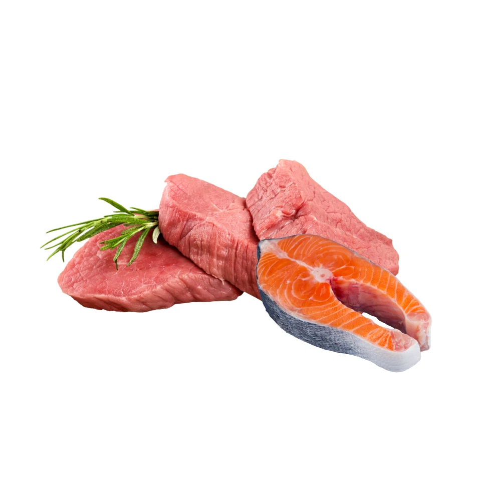 Hundefutter Nassfutter Hund 16x 800g 100% mit Rind Lachs Getreidefrei X-DOG - Bild 4 von 4