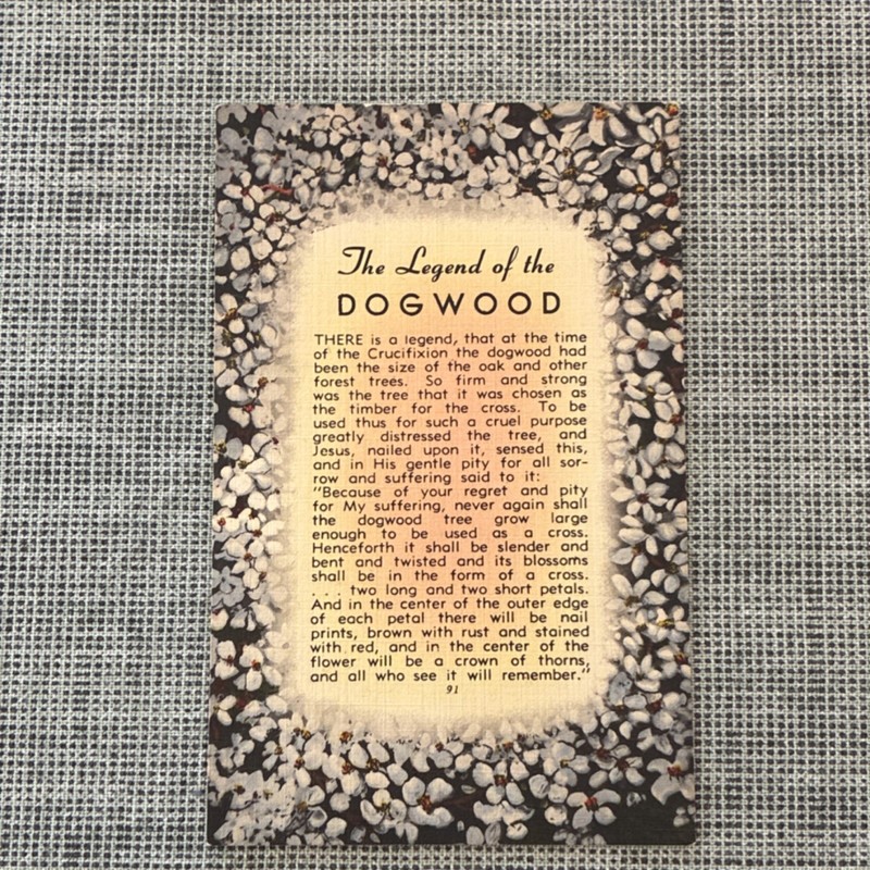 Thompson Bros., Inc. Legend of the Dogwood Religious Floral Collectible Postcard