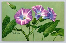 Vintage 1957 Greater Bindweed Wildflower Postcard Al Kreml National Wildlife Fed