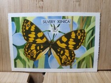 Shell Project Cards BUTTERFLIES AND MOTHS??#225 SILVERY XENICA 1960's Card
