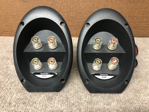 Paradigm Studio 20 V.3 Speker 
