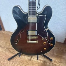 Epiphone Sheraton II Semi Hollow Gitarre 1999 Korean Gold Hardware