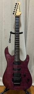 Washburn Mg | eBay