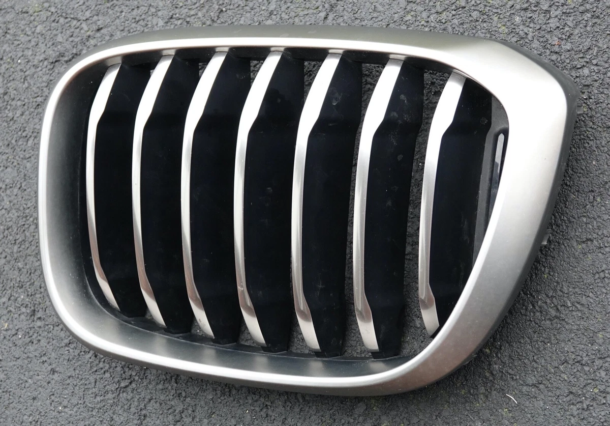 BMW X3 G01, X4 G02 Left Passenger Side Grille, Cerium Grey, Part 