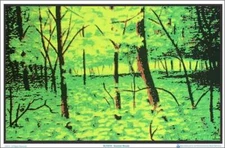 Summer Woods Laminated Blacklight Poster - 35.5" x 23.5"