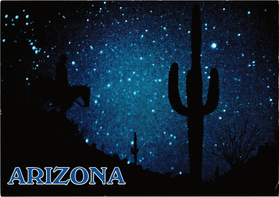 Night Rider Arizona Sentinel of Saguaros Postcard Unposted Starry Sky