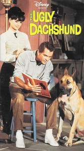 the ugly dachshund