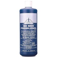 No Mor Problems Swimming Pool Algicide