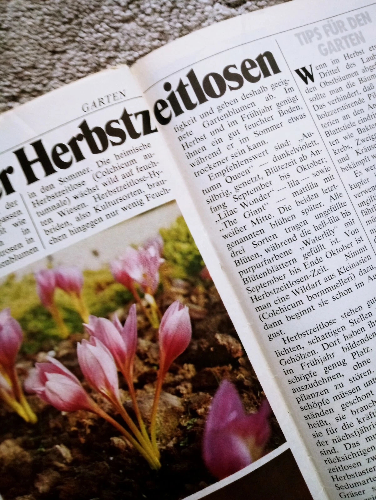 Bild 13 von 15