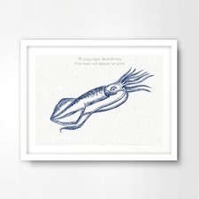 GIANT SQUID ILLUSTRATION SEASIDE NAUTICAL ART PRINT Blue Decor Wall Picture