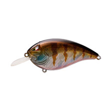 Team ARK Elite Z-Series Flatsided Squarebill Crankbait