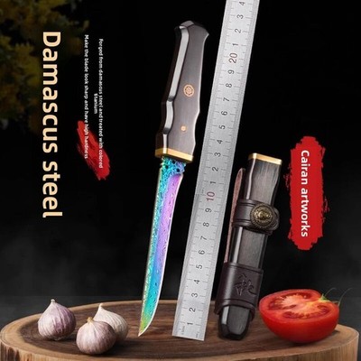  Damascus Small Fixed Blade KnifeHighEnd Fruit Knife Practical Knife with Sheath