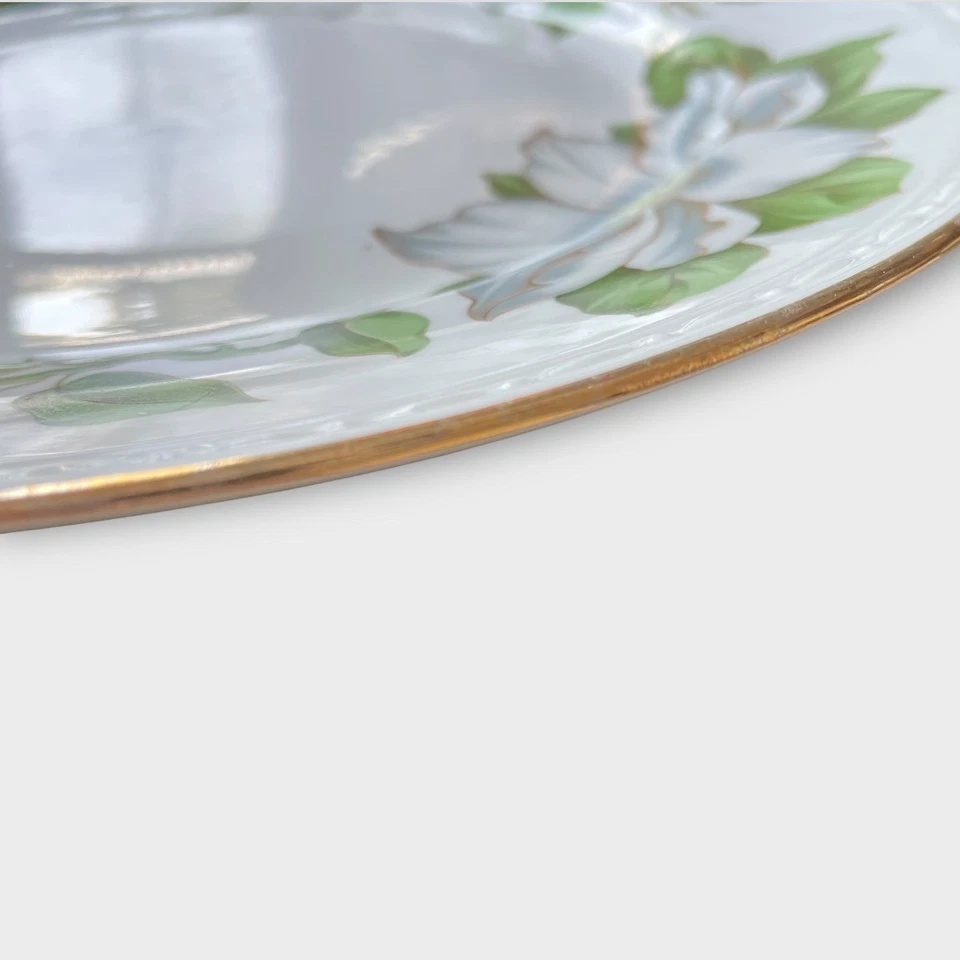 Homer Laughlin casca de ovo georgiano cotillion floral conjunto de 8 pratos de jantar EUA 10" - Imagem 4 de 4