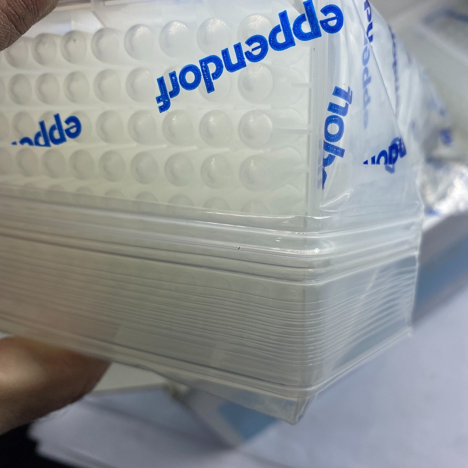 Eppendorf 951032107 Deepwell Plate 96/500 µL White Border Protein