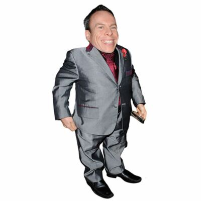 #ad #ad Warwick Davis Mini Size Cutout $19.97