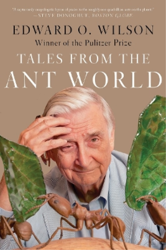 Edward O. Wilson Tales from the Ant World (Tascabile)