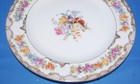 Royal Bayreuth dinner plates (before 1948) — photo 2