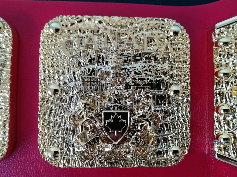 Fandu WWWF Backlund era World Heavyweight Wrestling Championship Replica Belt - Image 4 of 4