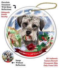 Schnoodle Santa...I Can Explain Holiday Ornament