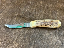 Case XX 523-3 1/4 SS Fixed Blade Hunting Knife Pheasant Etch Stag Grip, USA