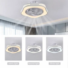 20'' Enclosed Ceiling Fan with Lights LED Warm Natural White Light 3 Wind Speed