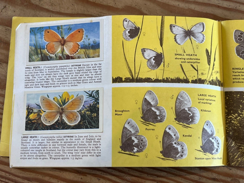 Brooke Bond British Butterflies Tea Cards Album Complete - Picture 3 of 3