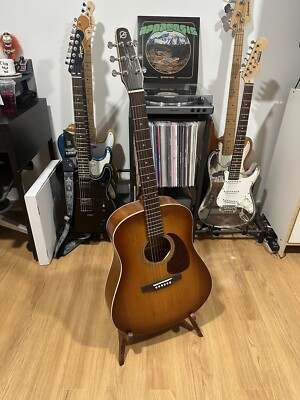 seagull entourage rustic Godin Acoustic Guitar