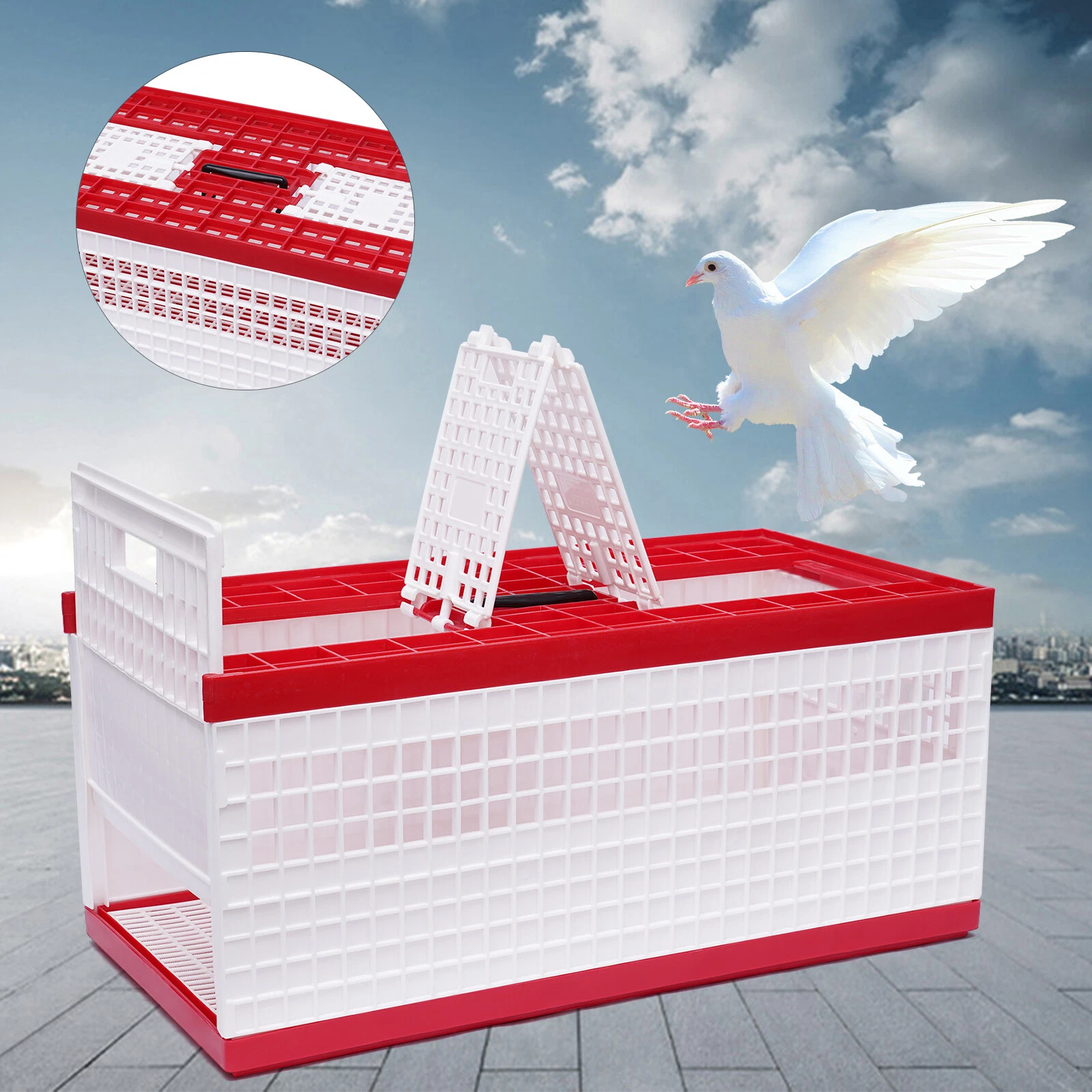 Racing Pigeon Carrier Box Bird Training Basket & 2 Side Doors 2 Top Doors Box