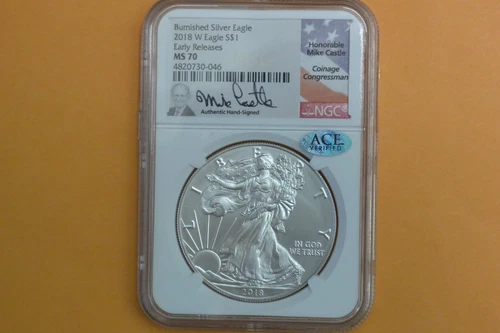 2018-W Burnished Silver Eagle NGC MS 70 Mike Castle Hand Signed, ACE Verified