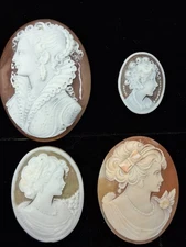 4 Pieces Nature Shell Of Cameo Ladies