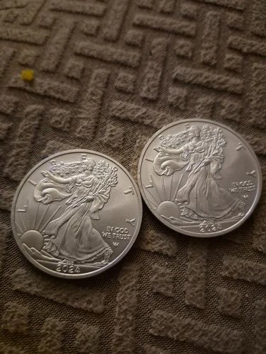 2024 Silver Eagle $1 Coin 1oz .999 Fine BU Walking Liberty set of 2