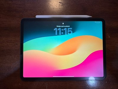iPad Pro 1st Gen 11   (WiFi + Cellular) / Space Grey / 256GB  + iPen (Excellent)