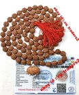13 Mukhi Rudraksha / Thirteen Face Rudraksh Java in 5 Mukhi Mala Lab Certified