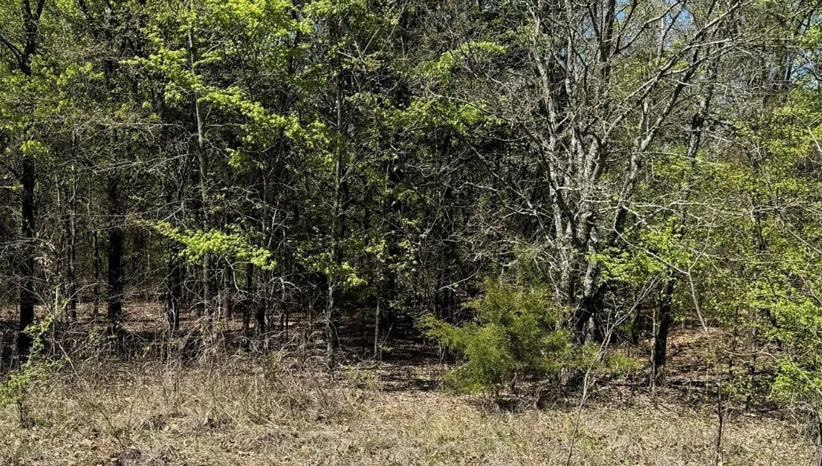 50' x 134' RESIDENTIAL LAND IN MUSKOGEE CO., OK-MOBILE HOMES/TINY HOMES/CAMPING