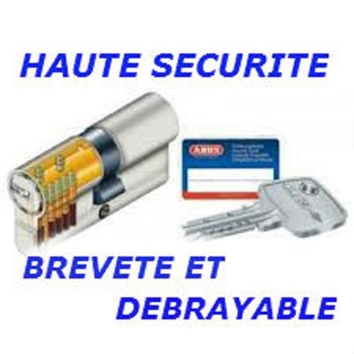 Cylindre De Serrure Haute Sécurité ABUS 35/45 Débrayable - Breveté, Métal Argenté
